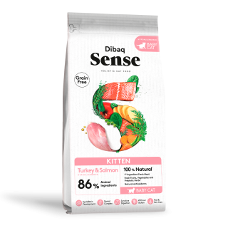 Dibaq Sense Cat Kitten 1