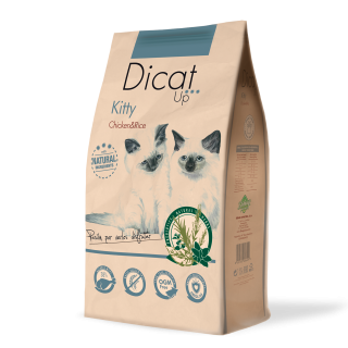 Dicat Up Kitty Pollo y Arroz 1