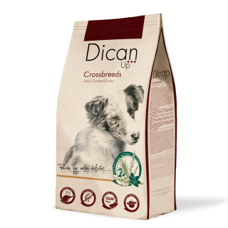 Dican Up Crossbreeds (Adulto) 3 KG