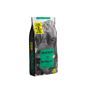 Arion Titanium MaxiBalance 15KG